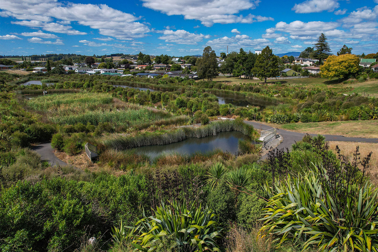 Mahana Reserve in the Making